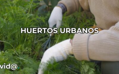 Beneficios de la Jardinería Sostenible en Entornos Urbanos