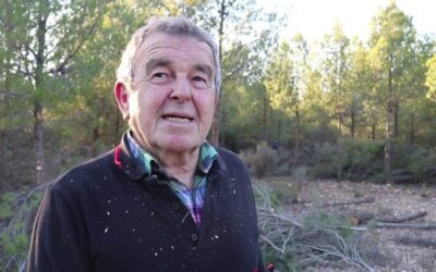 Herramientas Efectivas para el Desbroce y Limpieza de Bosques