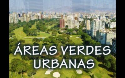 Soluciones Efectivas para el Mantenimiento de Áreas Verdes Urbanas