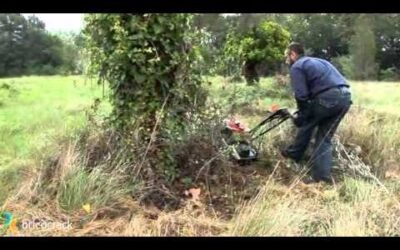 Eficiencia de la Desbrozadora en la Limpieza de Áreas Naturales