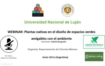 Beneficios de la Creación de Espacios Verdes en el Campo