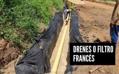 Control de Humedad en Jardines: Sistemas de Drenaje Eficientes
